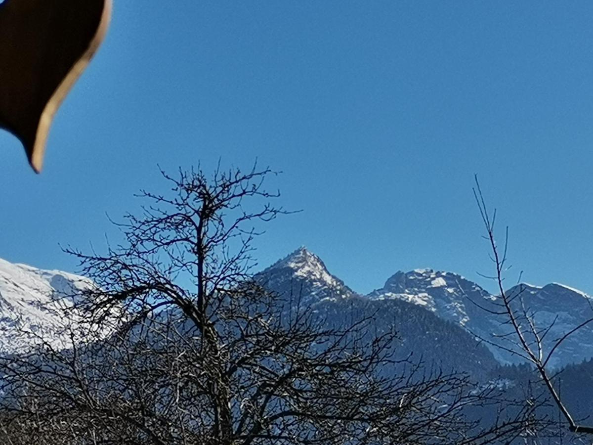 Campingplatz Torrenerhof Golling an der Salzach Luaran gambar